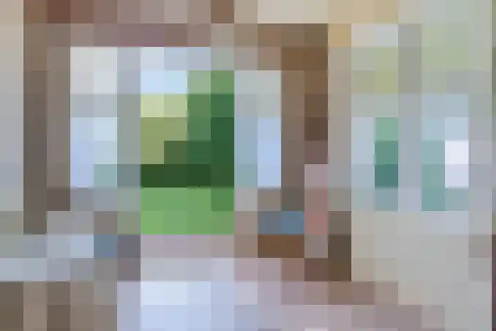 van Westerholtlaan 1 Schiermonnikoog thumbnail 9