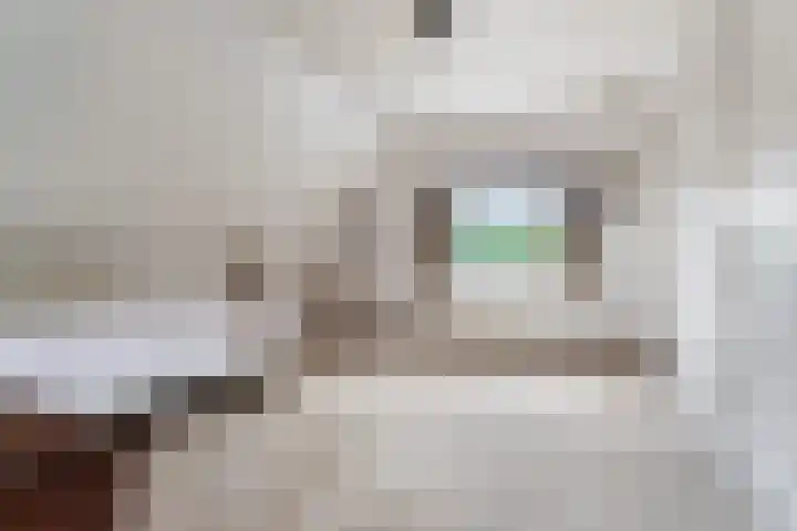 Van Westrheenelaan 2 Arnhem thumbnail 22