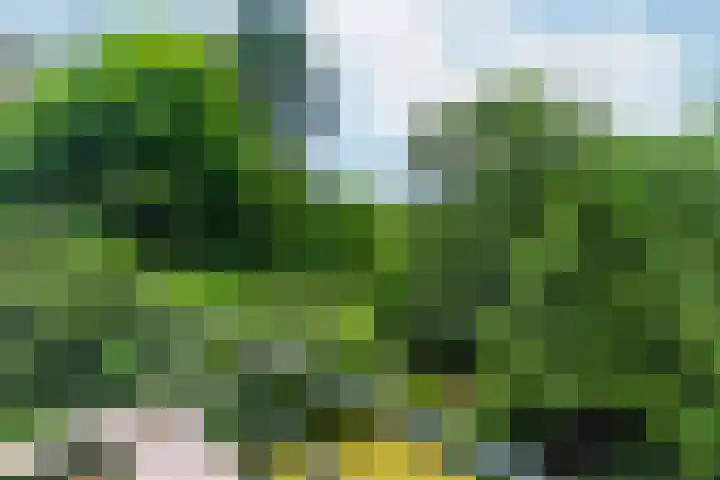 Van Westrheenelaan 2 Arnhem thumbnail 31