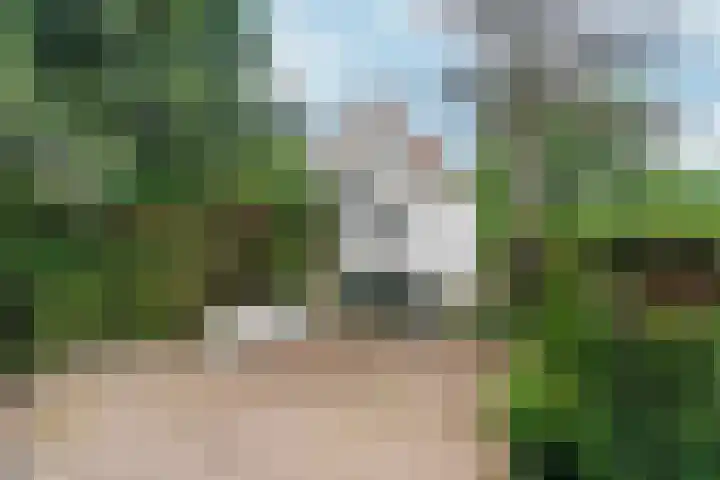 Van Westrheenelaan 2 Arnhem thumbnail 4