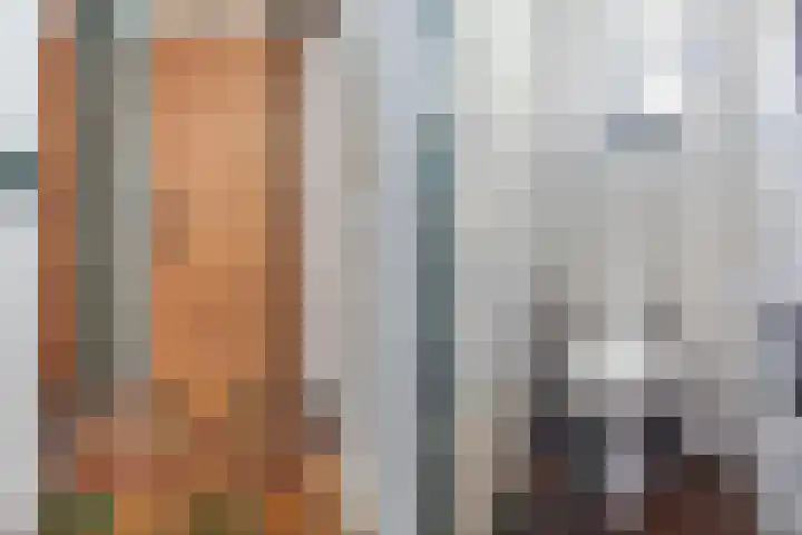 Van Westrheenelaan 2 Arnhem thumbnail 43