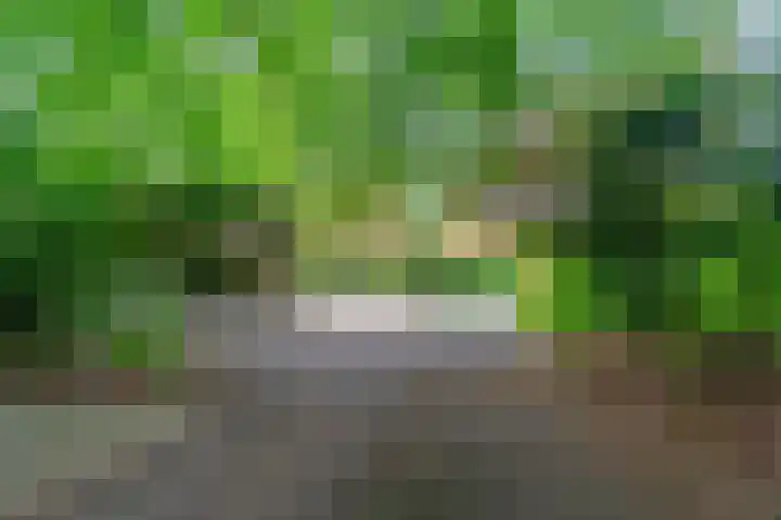Van Westrheenelaan 2 Arnhem thumbnail 48