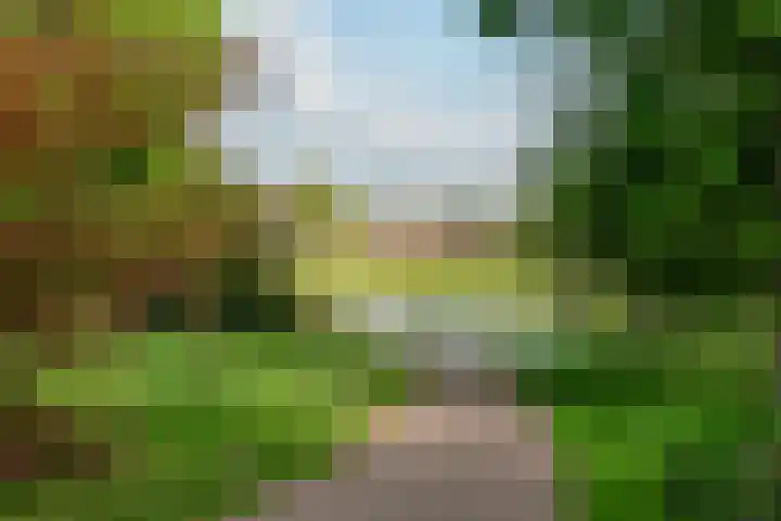 Van Westrheenelaan 2 Arnhem thumbnail 49