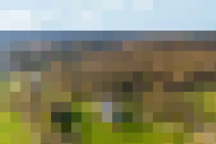 Van Westrheenelaan 2 Arnhem thumbnail 50