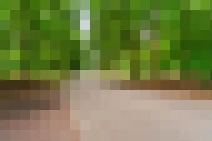 Van Westrheenelaan 2 Arnhem thumbnail 51