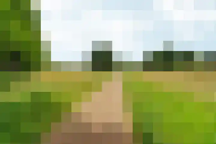 Van Westrheenelaan 2 Arnhem thumbnail 52