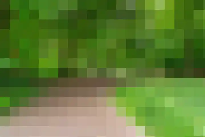 Van Westrheenelaan 2 Arnhem thumbnail 53