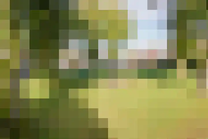 van Westrhenen 28 Bunschoten-Spakenburg thumbnail 37