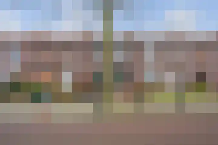 van Wevelickhovenstraat 40 Tegelen thumbnail 24