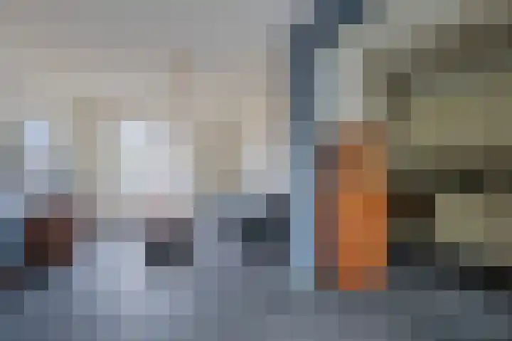 van Wevelickhovenstraat 40 Tegelen thumbnail 6