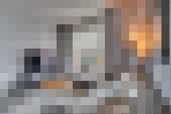 van Wevelickhovenstraat 48 Tegelen thumbnail 7