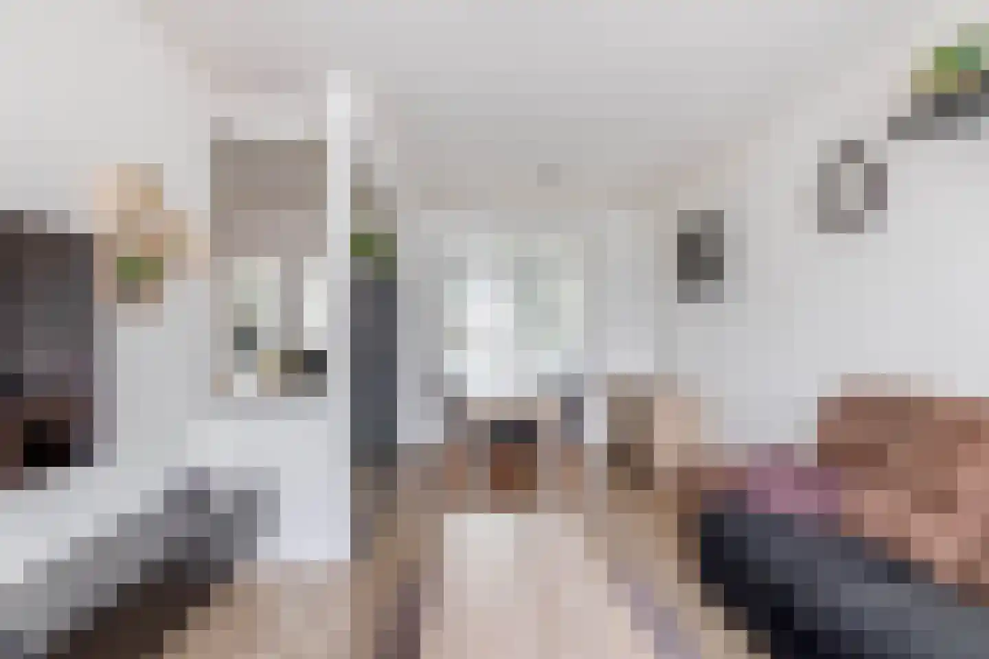 van Wevelickhovenstraat 64 Tegelen thumbnail 6