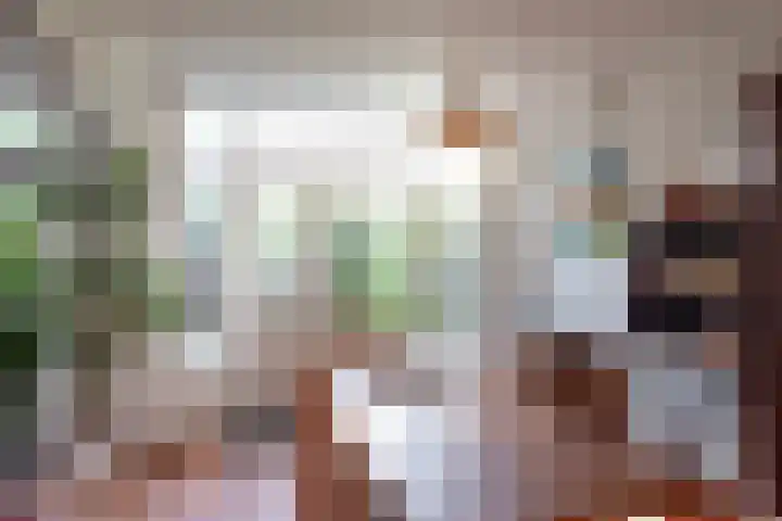Van Wickevoort Crommelinstraat 16 Haarlem thumbnail 10