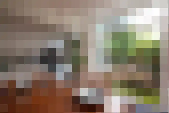 Van Wickevoort Crommelinstraat 16 Haarlem thumbnail 12