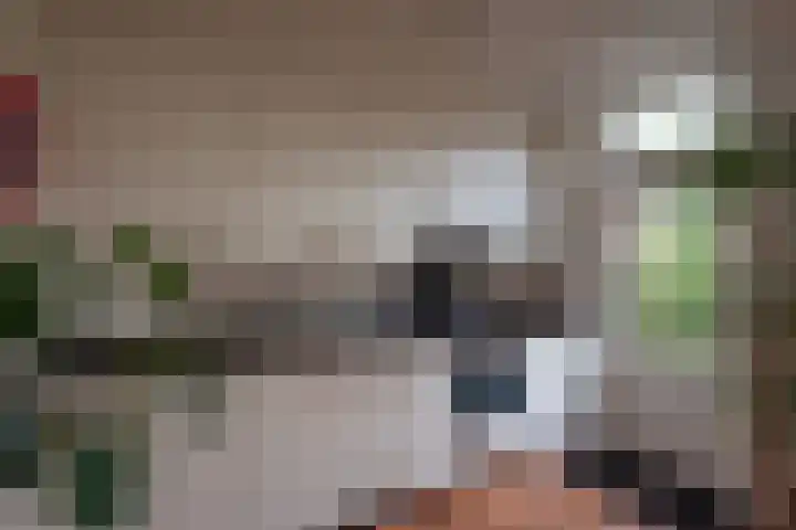 Van Wickevoort Crommelinstraat 16 Haarlem thumbnail 13