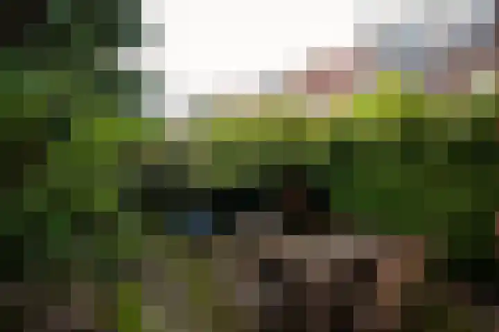 Van Wickevoort Crommelinstraat 16 Haarlem thumbnail 14