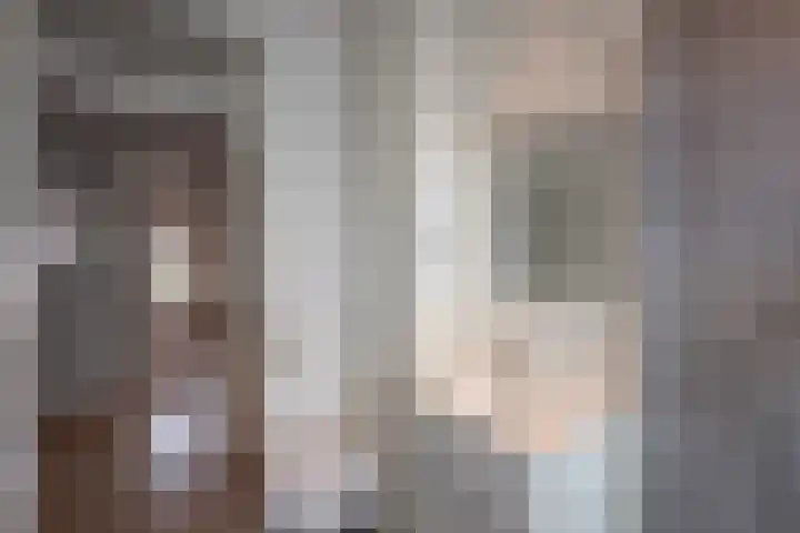 Van Wickevoort Crommelinstraat 16 Haarlem thumbnail 16