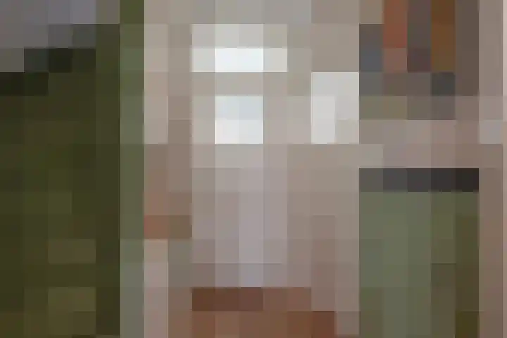 Van Wickevoort Crommelinstraat 16 Haarlem thumbnail 17
