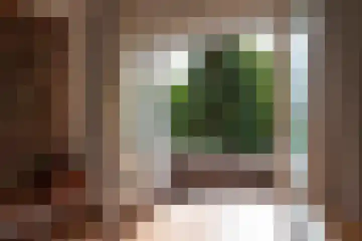 Van Wickevoort Crommelinstraat 16 Haarlem thumbnail 20