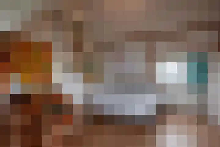 Van Wickevoort Crommelinstraat 16 Haarlem thumbnail 28