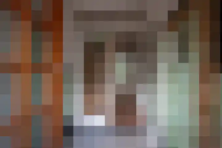 Van Wickevoort Crommelinstraat 16 Haarlem thumbnail 4