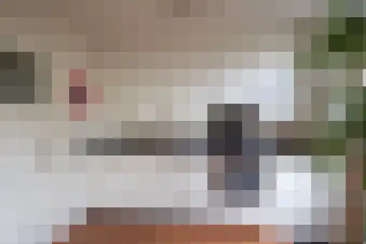 Van Wickevoort Crommelinstraat 16 Haarlem thumbnail 7