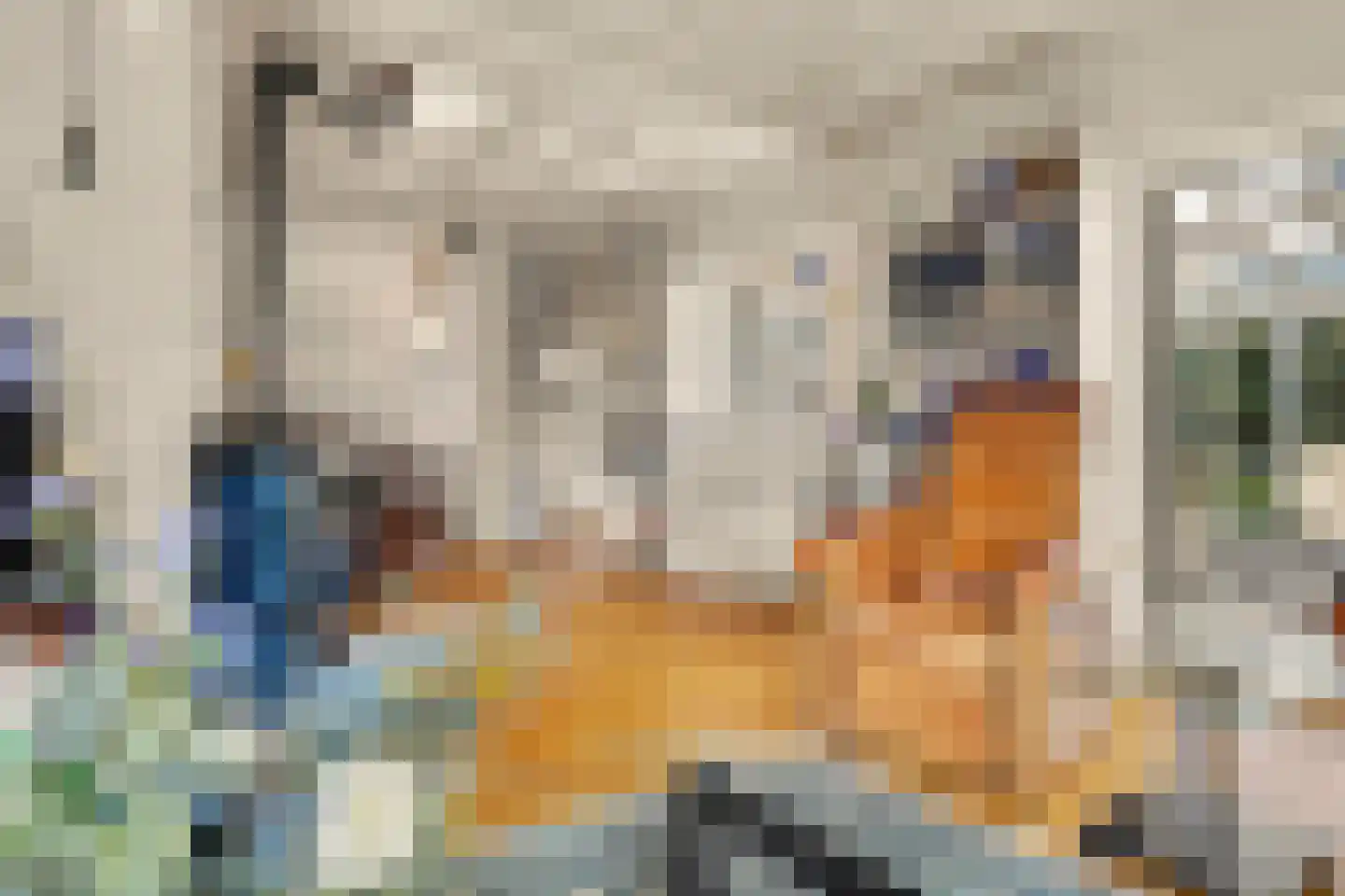 van Wieldrechtstraat 1 Raamsdonksveer thumbnail 10