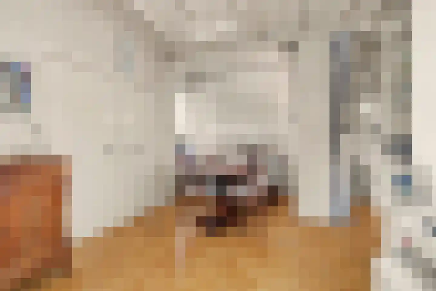 van Wieldrechtstraat 1 Raamsdonksveer thumbnail 14