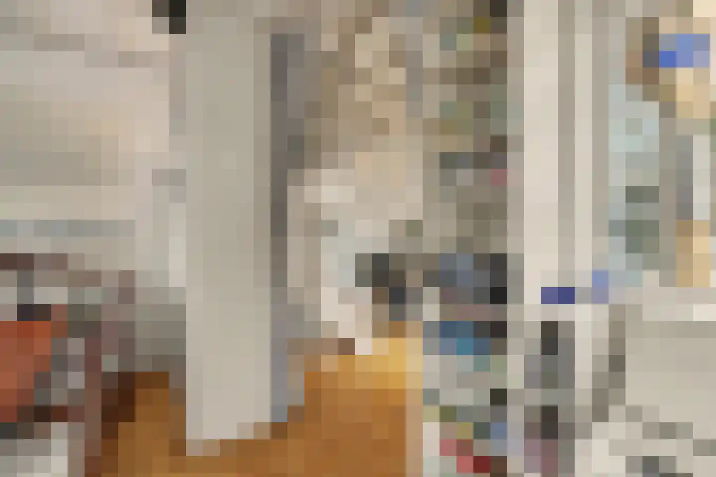 van Wieldrechtstraat 1 Raamsdonksveer thumbnail 15