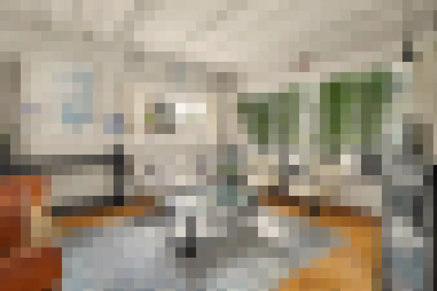 van Wieldrechtstraat 1 Raamsdonksveer thumbnail 16