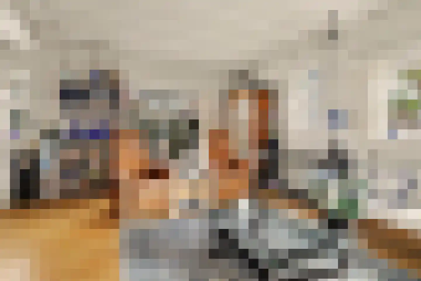 van Wieldrechtstraat 1 Raamsdonksveer thumbnail 17