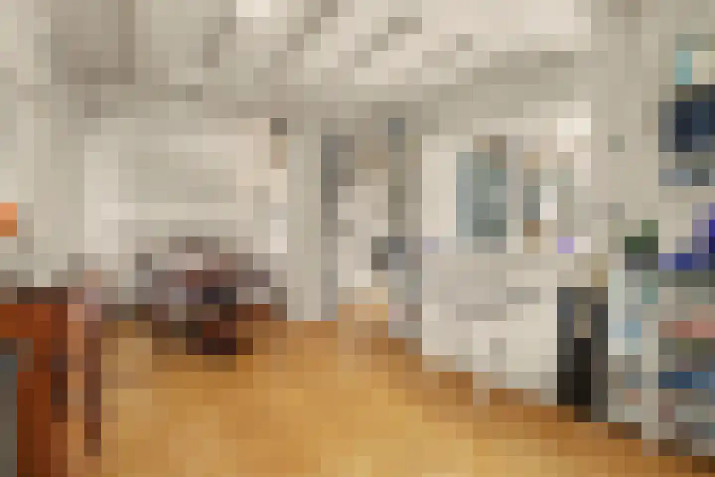 van Wieldrechtstraat 1 Raamsdonksveer thumbnail 18