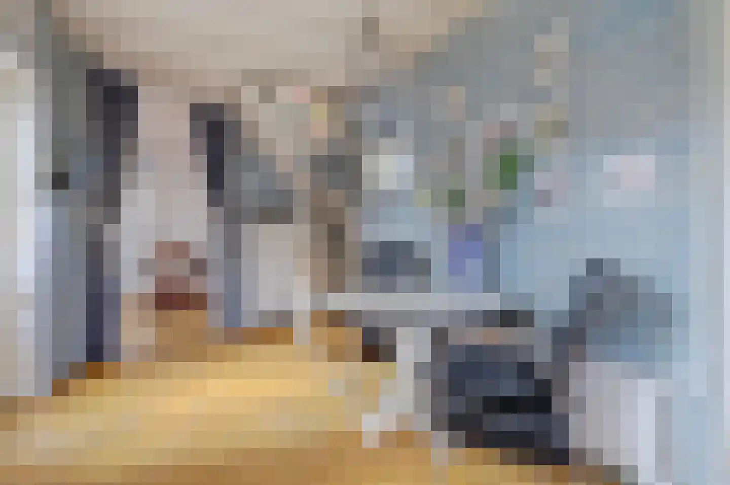 van Wieldrechtstraat 1 Raamsdonksveer thumbnail 19
