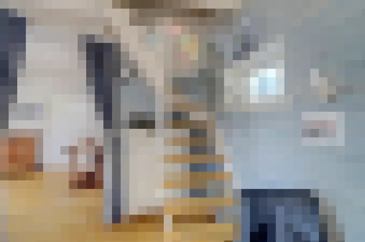 van Wieldrechtstraat 1 Raamsdonksveer thumbnail 20
