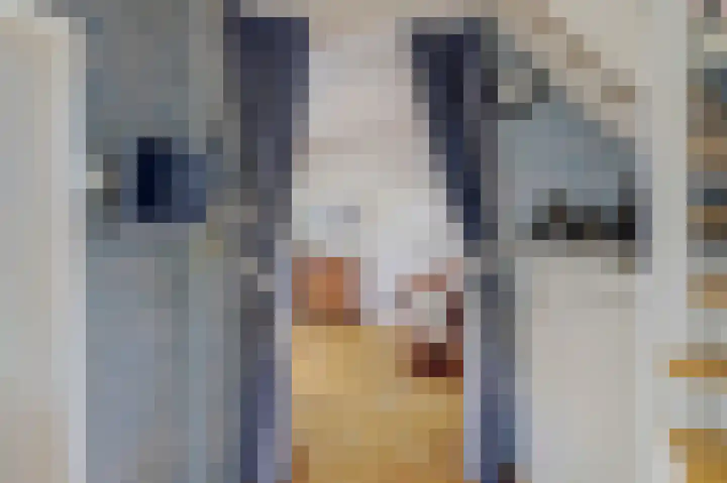 van Wieldrechtstraat 1 Raamsdonksveer thumbnail 21