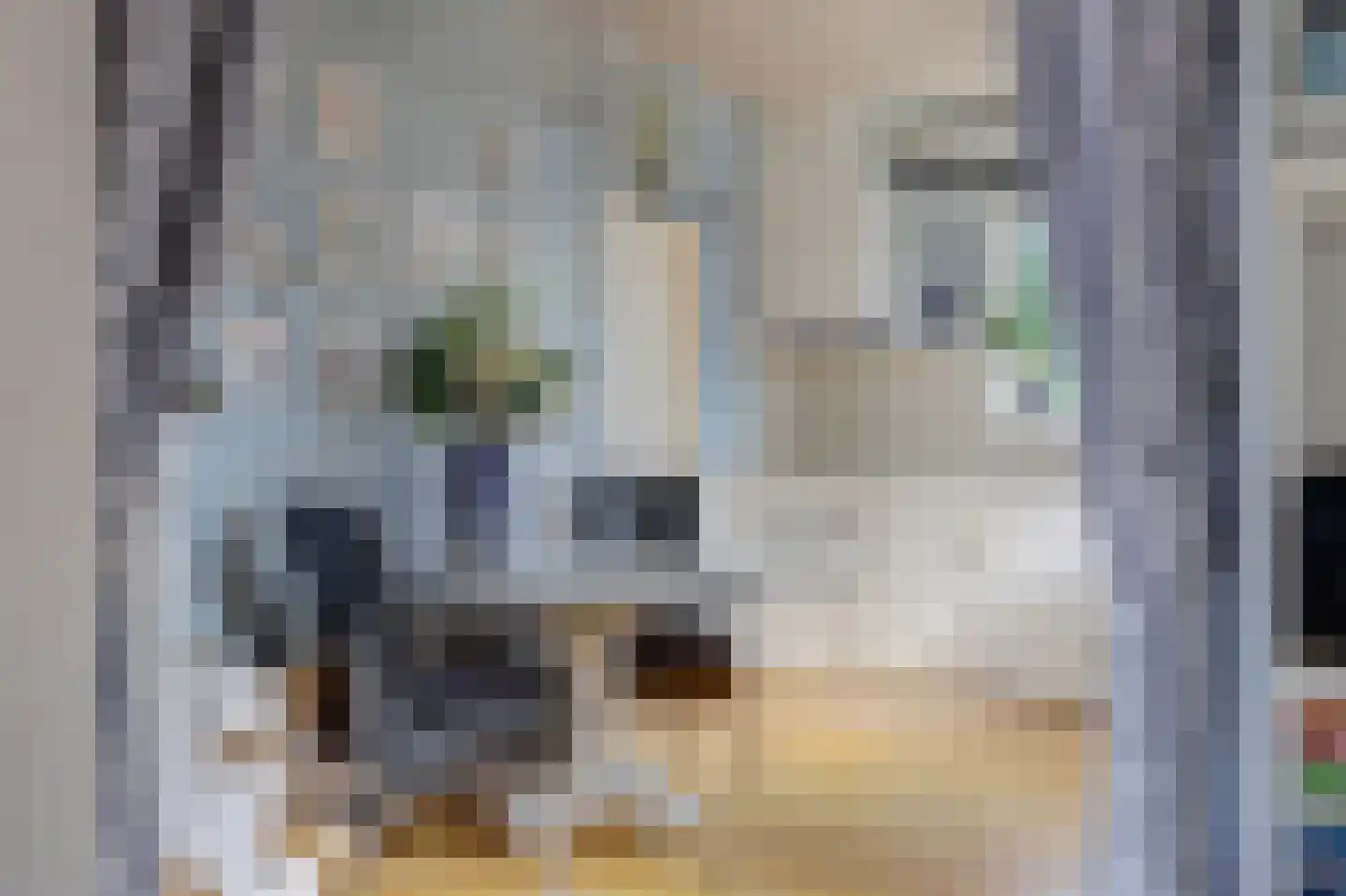 van Wieldrechtstraat 1 Raamsdonksveer thumbnail 22