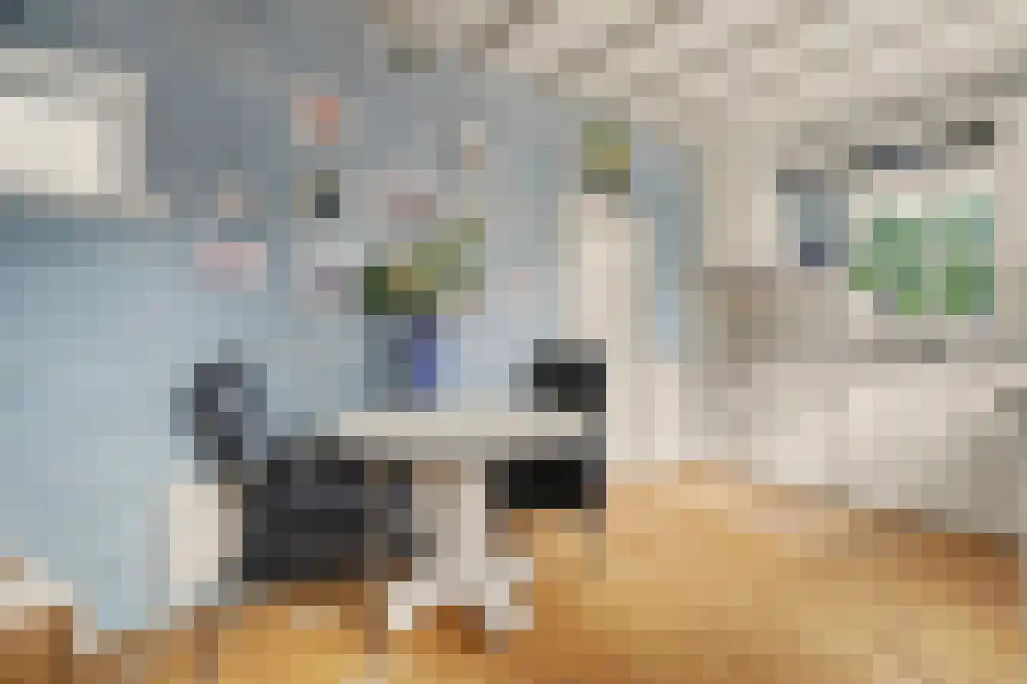van Wieldrechtstraat 1 Raamsdonksveer thumbnail 23