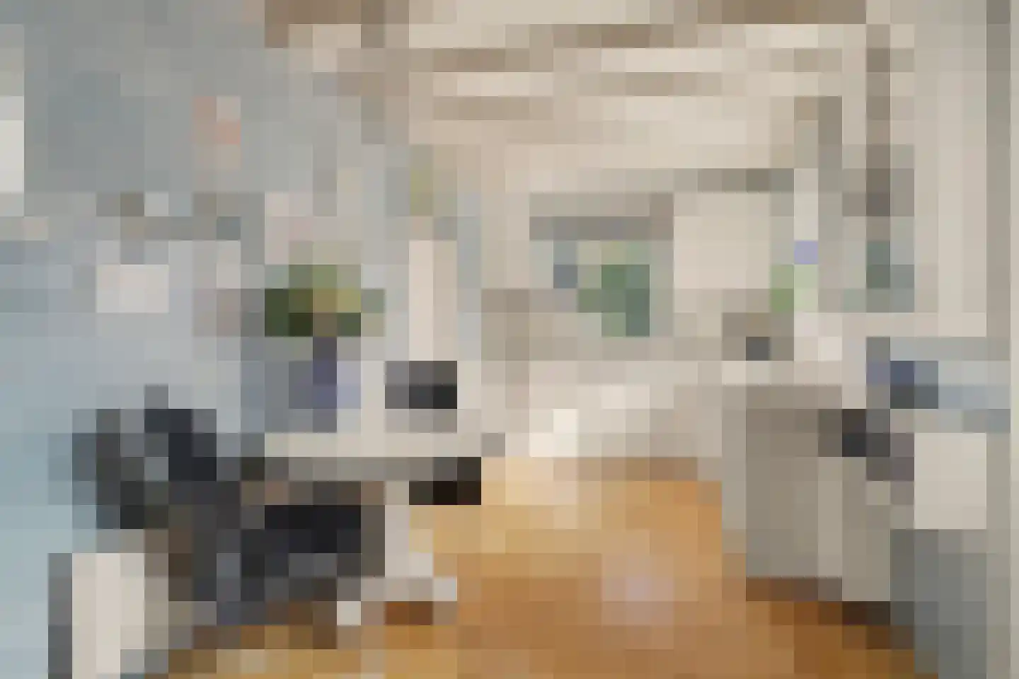 van Wieldrechtstraat 1 Raamsdonksveer thumbnail 24