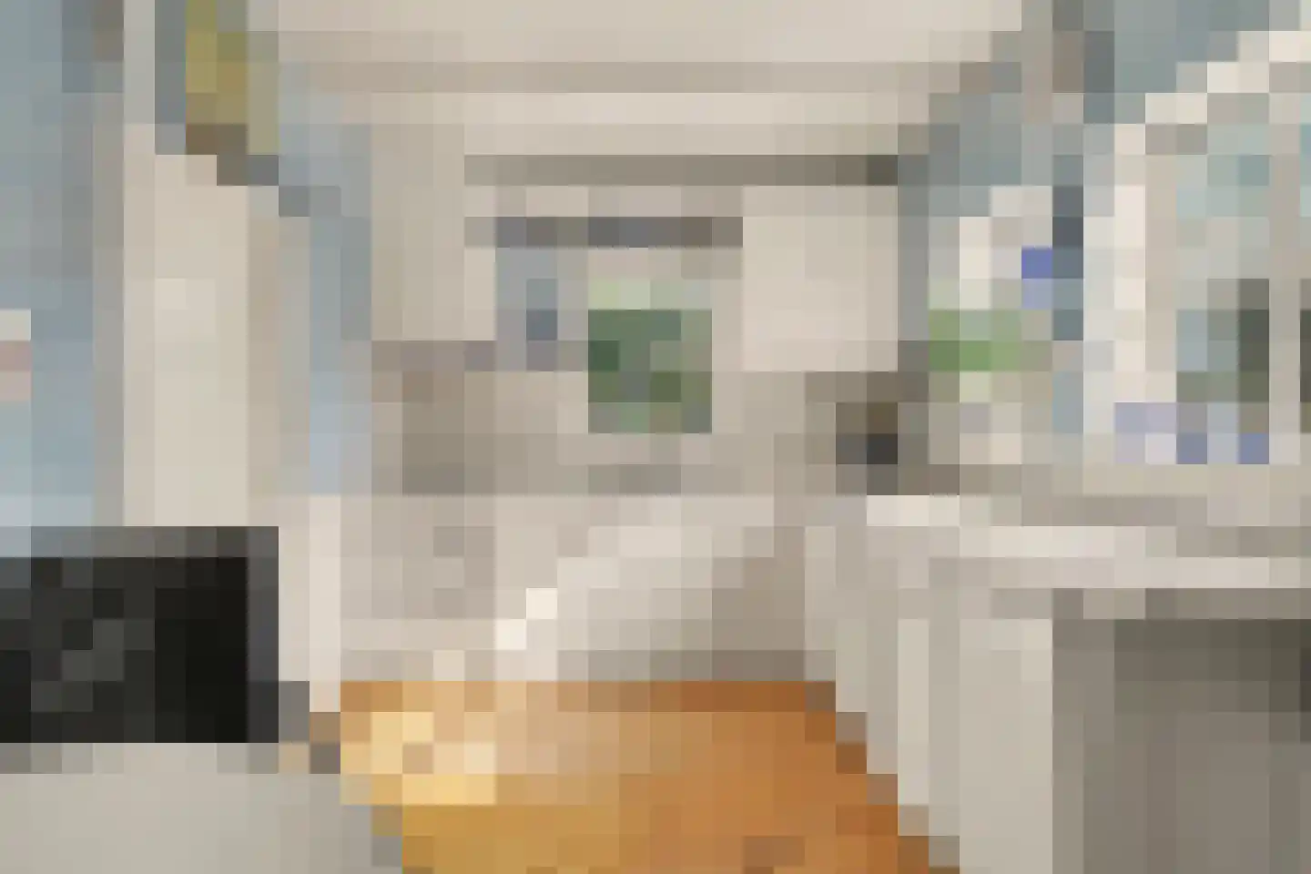 van Wieldrechtstraat 1 Raamsdonksveer thumbnail 25