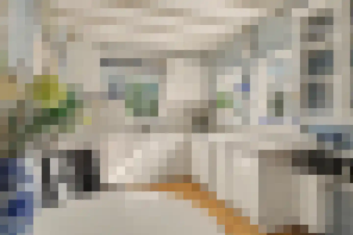van Wieldrechtstraat 1 Raamsdonksveer thumbnail 26
