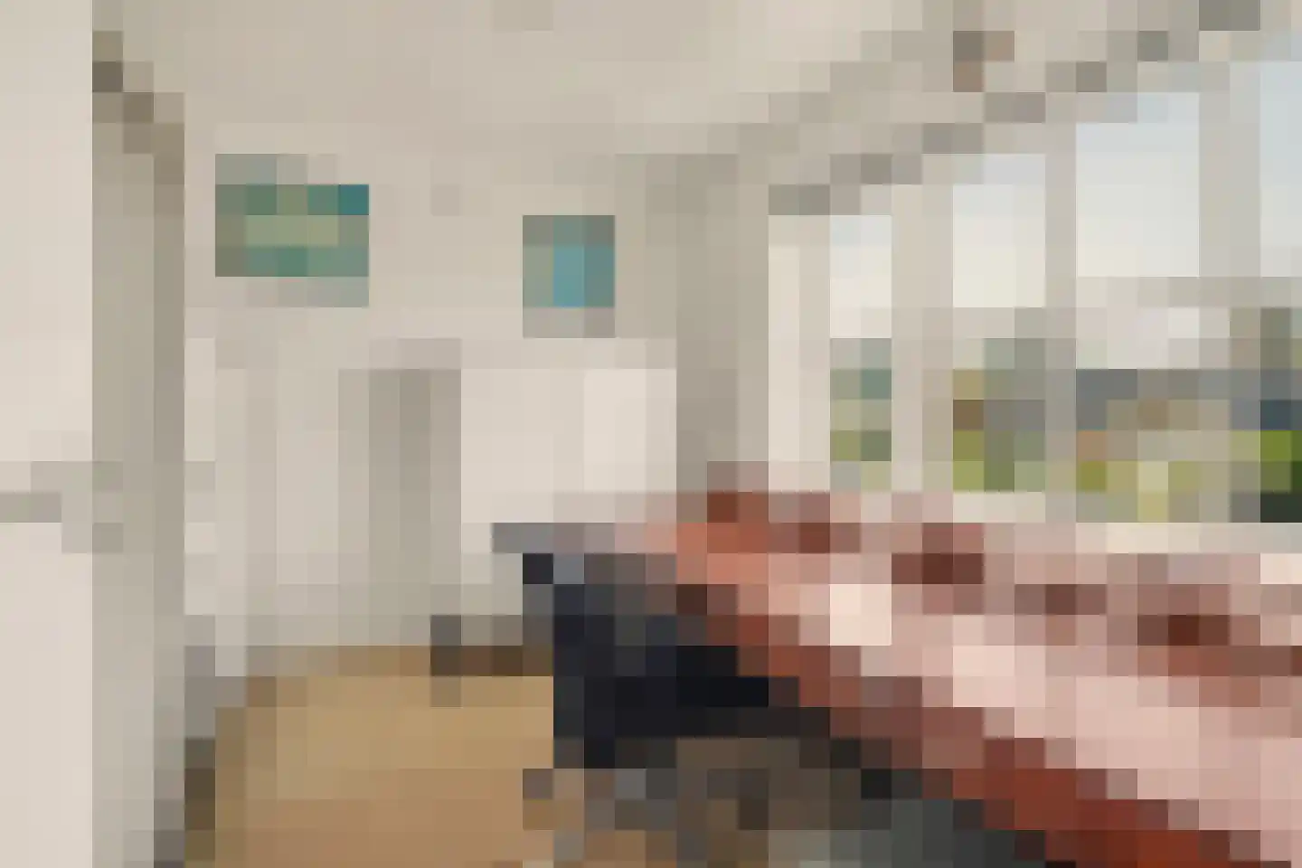 van Wieldrechtstraat 1 Raamsdonksveer thumbnail 30