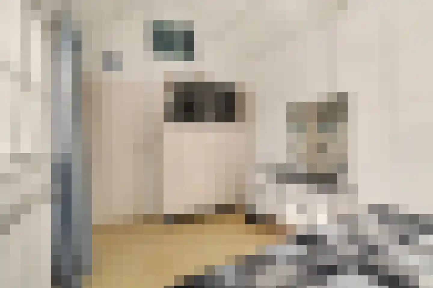 van Wieldrechtstraat 1 Raamsdonksveer thumbnail 34