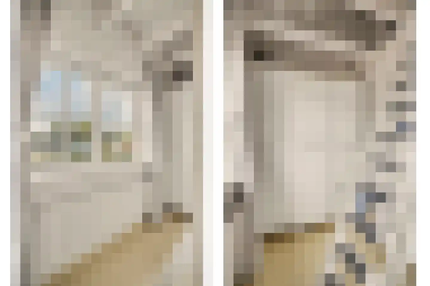 van Wieldrechtstraat 1 Raamsdonksveer thumbnail 40