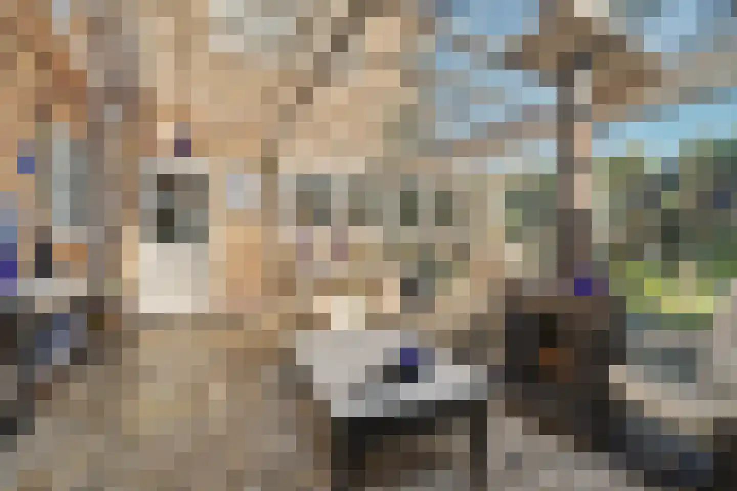van Wieldrechtstraat 1 Raamsdonksveer thumbnail 44