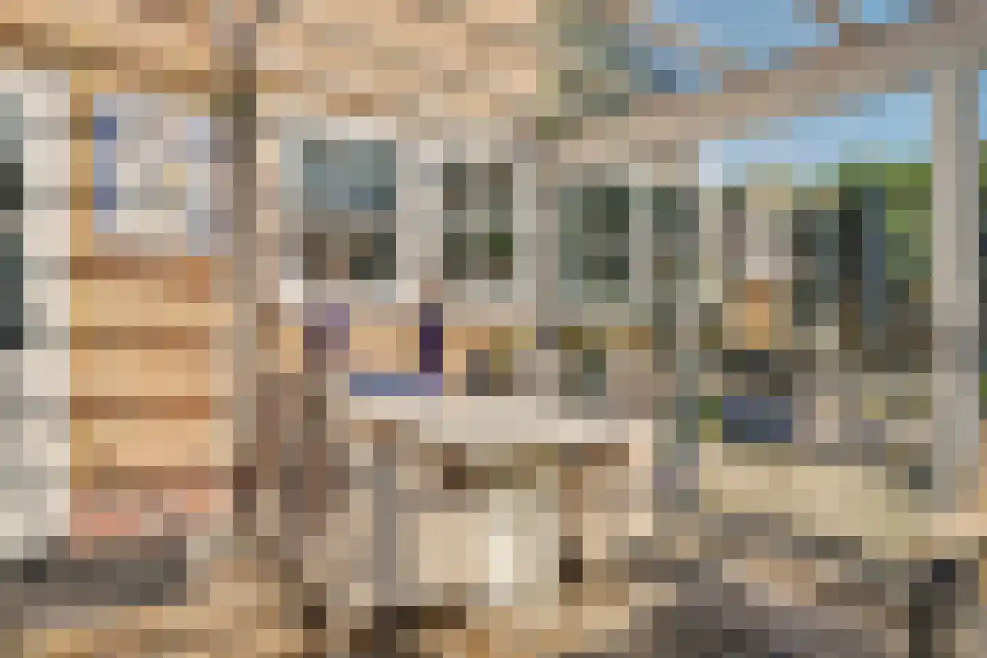 van Wieldrechtstraat 1 Raamsdonksveer thumbnail 45