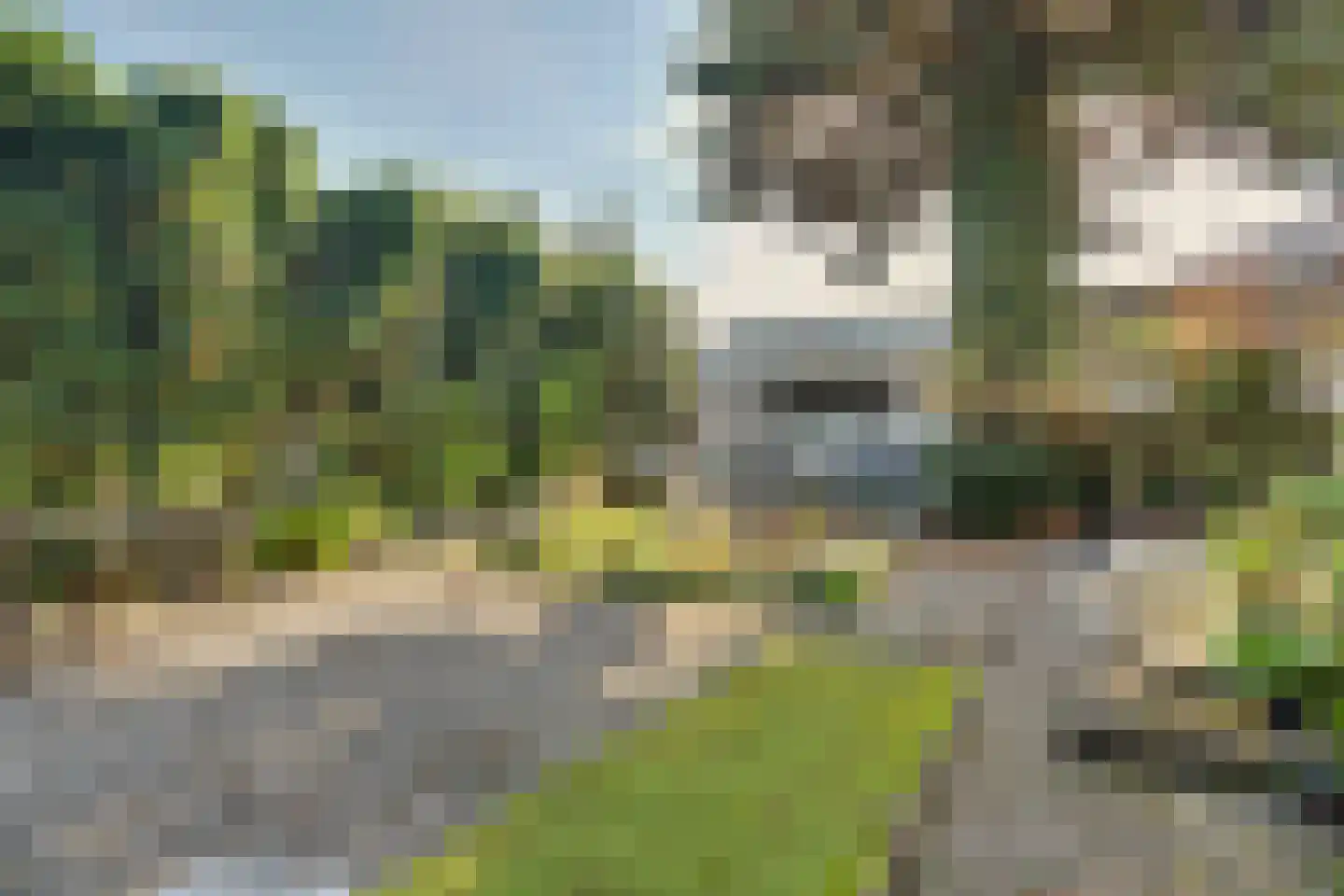 van Wieldrechtstraat 1 Raamsdonksveer thumbnail 47