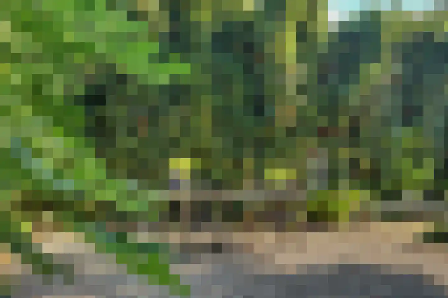 van Wieldrechtstraat 1 Raamsdonksveer thumbnail 48