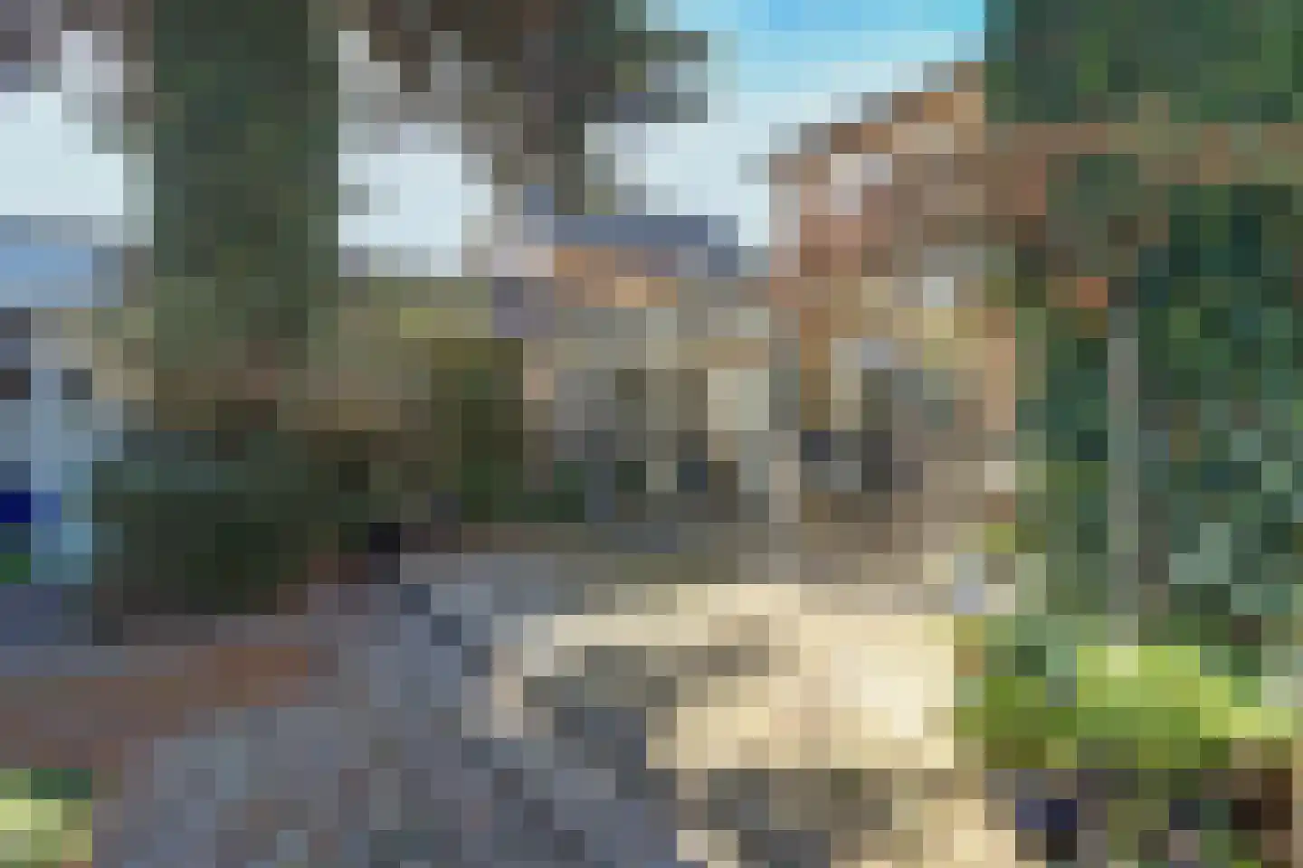van Wieldrechtstraat 1 Raamsdonksveer thumbnail 50