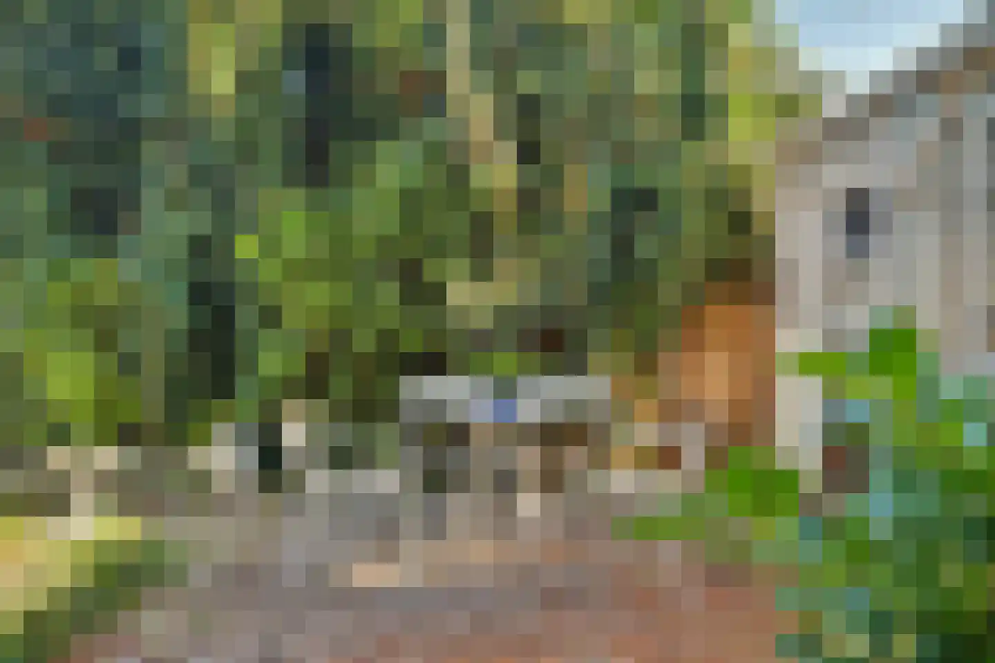 van Wieldrechtstraat 1 Raamsdonksveer thumbnail 51