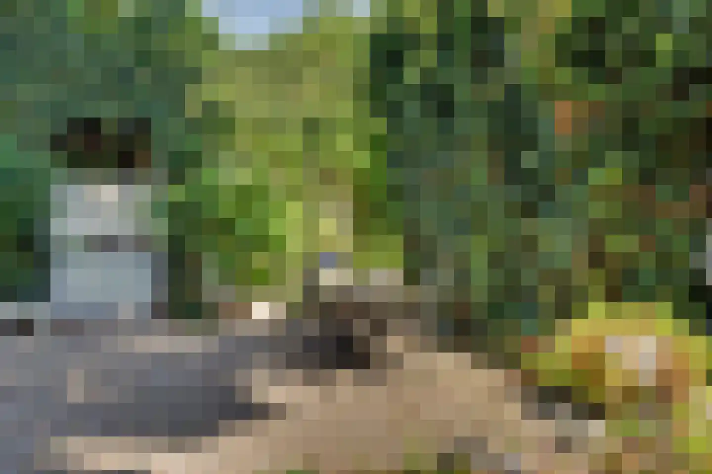 van Wieldrechtstraat 1 Raamsdonksveer thumbnail 53